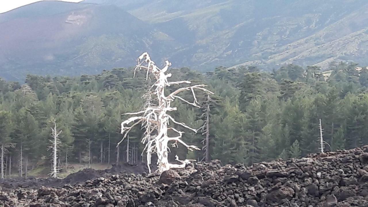 Acqua E Fuoco Chez Rachel Panzió Riposto Kültér fotó